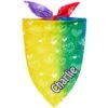 Frisco Rainbow Hearts Personalized Dog & Cat Bandana -Frisco 267539 MAIN. AC SS1800 V1632683779