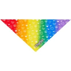 Frisco Rainbow Hearts Personalized Dog & Cat Bandana 13 Frisco Rainbow Hearts Personalized Dog & Cat Bandana -Frisco 267539 PT2. AC SS1800 V1632687993
