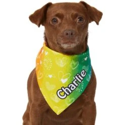 Frisco Rainbow Hearts Personalized Dog & Cat Bandana 16 Frisco Rainbow Hearts Personalized Dog & Cat Bandana -Frisco 267539 PT5. AC SS1800 V1632432071