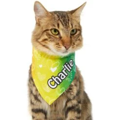 Frisco Rainbow Hearts Personalized Dog & Cat Bandana 17 Frisco Rainbow Hearts Personalized Dog & Cat Bandana -Frisco 267539 PT6. AC SS1800 V1632420703