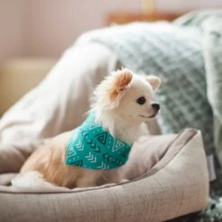 Frisco Geometric Dog & Cat Bandana -Frisco 267907 PT5. AC SS1800 V1637652153