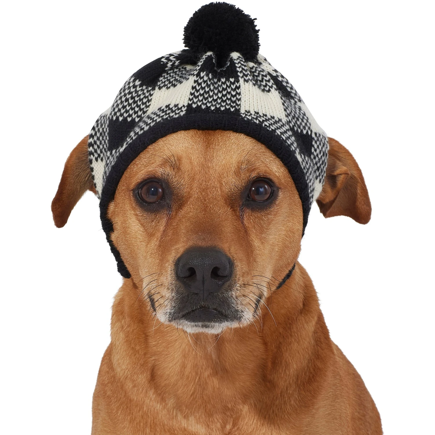 Frisco Plaid Dog & Cat Knitted Hat 5 Frisco Plaid Dog & Cat Knitted Hat - Image 3