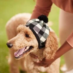 Frisco Plaid Dog & Cat Knitted Hat 11 Frisco Plaid Dog & Cat Knitted Hat -Frisco 267925 PT8. AC SS1800 V1629755603