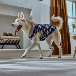 Frisco Lightweight Southwest Dog & Cat Polar Fleece Vest 15 Frisco Lightweight Southwest Dog & Cat Polar Fleece Vest -Frisco 268167 PT8. AC SS1800 V1629756292