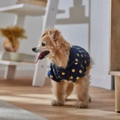 Frisco Lightweight Gold Dotted Dog & Cat Jacket, Navy -Frisco 268247 PT8. AC SS1800 V1629758988