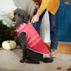 Frisco Mediumweight Reflective Water-Resistant Insulated Dog & Cat Coat 15 Frisco Mediumweight Reflective Water-Resistant Insulated Dog & Cat Coat -Frisco 268342 PT8. AC SS1800 V1629764397