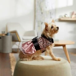 Frisco Pink Cheetah Dog & Cat Dress -Frisco 268661 PT6. AC SS1800 V1637672527