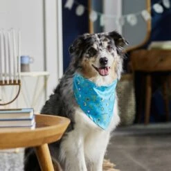 Frisco Festive Hanukkah Dog & Cat Bandana 15 Frisco Festive Hanukkah Dog & Cat Bandana -Frisco 276282 PT5. AC SS1800 V1637653030