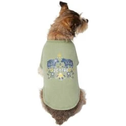Frisco Joyful Hygge-Inspired Dog & Cat T-shirt 11 Frisco Joyful Hygge-Inspired Dog & Cat T-shirt -Frisco 276488 PT3. AC SS1800 V1637725670