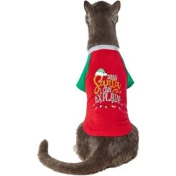 Frisco Santa I Can Explain Dog & Cat T-shirt -Frisco 276496 PT2. AC SS1800 V1637682452