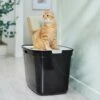 Frisco Top Entry Cat Litter Box, Extra Large 2 Frisco Top Entry Cat Litter Box, Extra Large -Frisco 278183 MAIN. AC SS1800 V1675279642