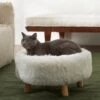 Frisco Eyelash Fur Round Elevated Cat Bed 1 Frisco Eyelash Fur Round Elevated Cat Bed -Frisco 285211 MAIN. AC SS1800 V1625009099