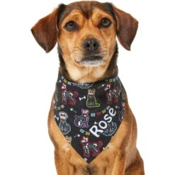 Frisco Dia De Los Muertos Personalized Dog & Cat Bandana -Frisco 287052 PT6. AC SS1800 V1623246755