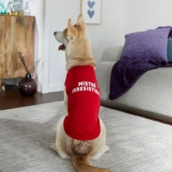 Frisco Mister Irresistible Dog & Cat T-Shirt -Frisco 292026 PT6. AC SS1800 V1701797008