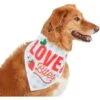 Frisco Love Bites Dog & Cat Bandana -Frisco 292054 MAIN. AC SS1800 V1637268755