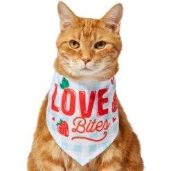 Frisco Love Bites Dog & Cat Bandana -Frisco 292054 PT2. AC SS1800 V1637268455
