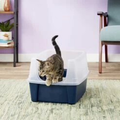 Frisco Plastic Litter Scooper With Caddy & IRIS USA Open Top Litter Box With Scatter Shield -Frisco 298166 PT6. AC SS1800 V1623202669
