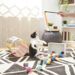 Sheba Meaty Tender Sticks Salmon Flavored Soft Adult Cat Treats & Frisco Plush, Teaser, Ball & Tunnel Variety Pack Cat Toy With Catnip 11 Sheba Meaty Tender Sticks Salmon Flavored Soft Adult Cat Treats & Frisco Plush, Teaser, Ball & Tunnel Variety Pack Cat Toy With Catnip -Frisco 298508 PT4. AC SS1800 V1623202064