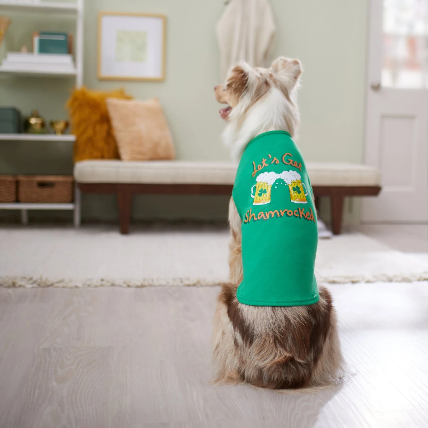 Frisco Let's Get Shamrocked Dog & Cat T-Shirt 8 Frisco Let's Get Shamrocked Dog & Cat T-Shirt - Image 6