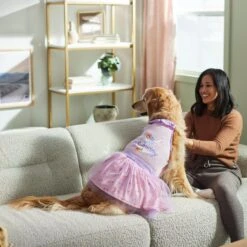 Frisco Love Bunny Dog & Cat Dress 14 Frisco Love Bunny Dog & Cat Dress -Frisco 300656 PT5. AC SS1800 V1641535314