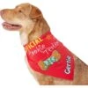 Frisco Official Cookie Tester Personalized Dog & Cat Bandana 2 Frisco Official Cookie Tester Personalized Dog & Cat Bandana -Frisco 301353 MAIN. AC SS1800 V1632923476
