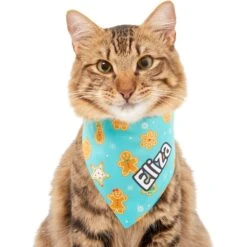 Frisco Gingerbread Cookie Personalized Dog & Cat Bandana 17 Frisco Gingerbread Cookie Personalized Dog & Cat Bandana -Frisco 301361 PT7. AC SS1800 V1628100087