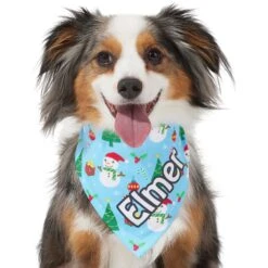 Frisco Snowman & Presents Personalized Dog & Cat Bandana -Frisco 301373 PT6. AC SS1800 V1628100374
