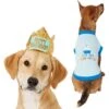 Frisco Happy Birthday Dog & Cat Crown & Frisco It's My Birthday & Cat T-Shirt 2 Frisco Happy Birthday Dog & Cat Crown & Frisco It's My Birthday & Cat T-Shirt -Frisco 302470 MAIN. AC SS1800 V1623076950