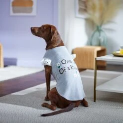 Frisco One Of A Kind Dog & Cat T-Shirt -Frisco 312080 PT5. AC SS1800 V1673304060