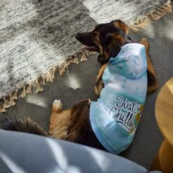 Frisco Just Chillin Dog & Cat Hoodie 15 Frisco Just Chillin Dog & Cat Hoodie -Frisco 312233 PT8. AC SS1800 V1644881922