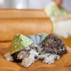 Frisco Green Southwest Dog & Cat Hoodie -Frisco 312248 PT8. AC SS1800 V1644883113