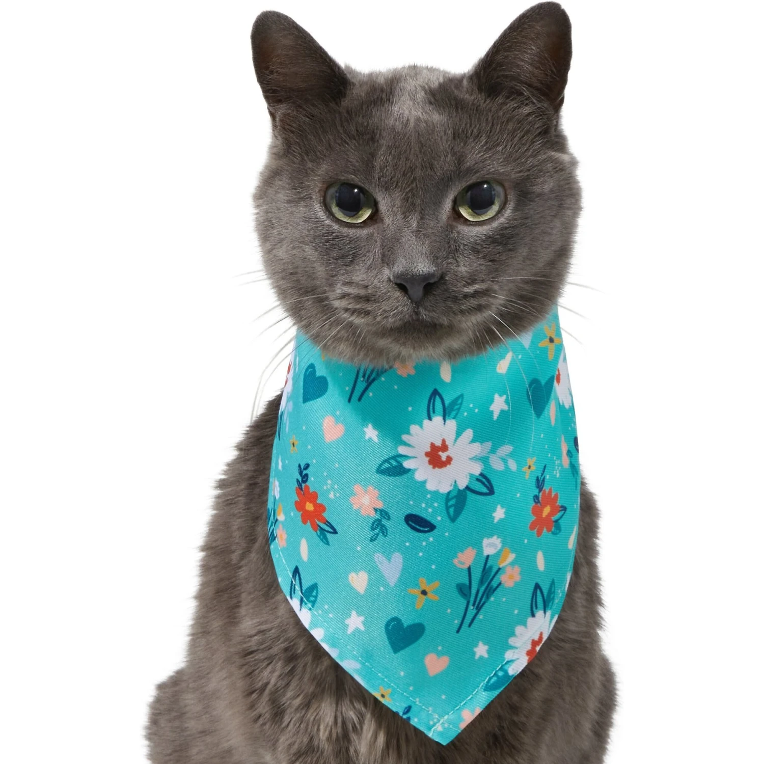 Frisco Spring Floral Dog & Cat Bandana 5 Frisco Spring Floral Dog & Cat Bandana - Image 3