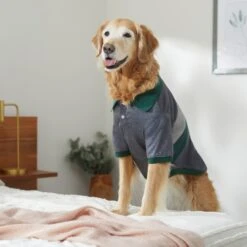 Frisco Green Striped Polo Dog & Cat Shirt 19 Frisco Green Striped Polo Dog & Cat Shirt -Frisco 315091 PT8. AC SS1800 V1646434389