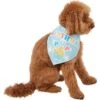 Frisco Birthday Pup Dog & Cat Bandana 2 Frisco Birthday Pup Dog & Cat Bandana -Frisco 315130 MAIN. AC SS1800 V1646437330