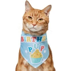 Frisco Birthday Pup Dog & Cat Bandana -Frisco 315130 PT2. AC SS1800 V1646437964