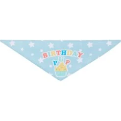 Frisco Birthday Pup Dog & Cat Bandana -Frisco 315130 PT5. AC SS1800 V1646434611