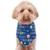 Frisco Celebration Dog & Cat Bandana -Frisco 315133 MAIN. AC SS1800 V1646438946