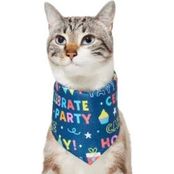 Frisco Celebration Dog & Cat Bandana 11 Frisco Celebration Dog & Cat Bandana -Frisco 315133 PT2. AC SS1800 V1646439780