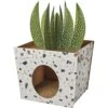 Frisco Potted Succulent Cardboard Cat House 1 Frisco Potted Succulent Cardboard Cat House -Frisco 317723 MAIN. AC SS1800 V1688677259
