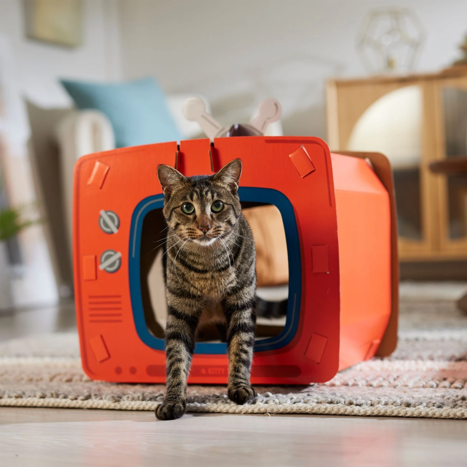 Frisco TV Set Cardboard Cat House 7 Frisco TV Set Cardboard Cat House - Image 5