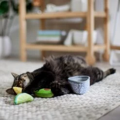 Frisco Guacamole Bowl Cat Toy With Catnip, Medium, 4 Count -Frisco 327059 PT3. AC SS1800 V1645205519
