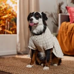 Frisco Tweed Weave Ruffle Skirt Dog & Cat Dress -Frisco 353649 PT6. AC SS1800 V1660750168