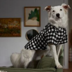 Frisco Black Plaid Dog & Cat Shirt -Frisco 353682 PT7. AC SS1800 V1660749685