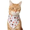 Frisco Apple Dog & Cat Bandana 2 Frisco Apple Dog & Cat Bandana -Frisco 353786 MAIN. AC SS1800 V1659011013