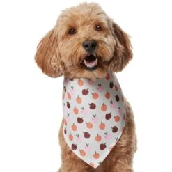 Frisco Apple Dog & Cat Bandana -Frisco 353786 PT2. AC SS1800 V1661275129