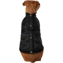 Frisco Lightweight Belted Puffer Dog & Cat Jacket 11 Frisco Lightweight Belted Puffer Dog & Cat Jacket -Frisco 353825 PT2. AC SS1800 V1659010815
