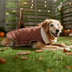 Frisco Mid-Heavyweight Fleece Lined Quilted Dog & Cat Coat 16 Frisco Mid-Heavyweight Fleece Lined Quilted Dog & Cat Coat -Frisco 353877 PT7. AC SS1800 V1660750171