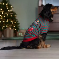 Frisco Naughty, Nice, I Tried Dog & Cat T-Shirt 14 Frisco Naughty, Nice, I Tried Dog & Cat T-Shirt -Frisco 358301 PT7. AC SS1800 V1661797473