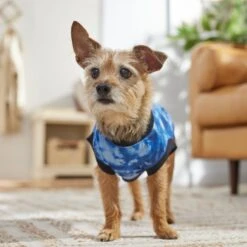 Frisco Tie-Dye Dog & Cat T-Shirt -Frisco 368816 PT7. AC SS1800 V1664994331