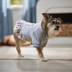 Frisco Stay Wild Dog & Cat Hoodie 16 Frisco Stay Wild Dog & Cat Hoodie -Frisco 555366 PT6. AC SS1800 V1674829061